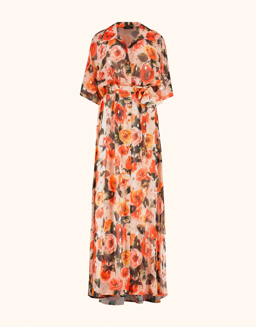 Long dress with a colorful floral pattern, sheer chiffon, short sleeves, and an elegant abstract rose print.